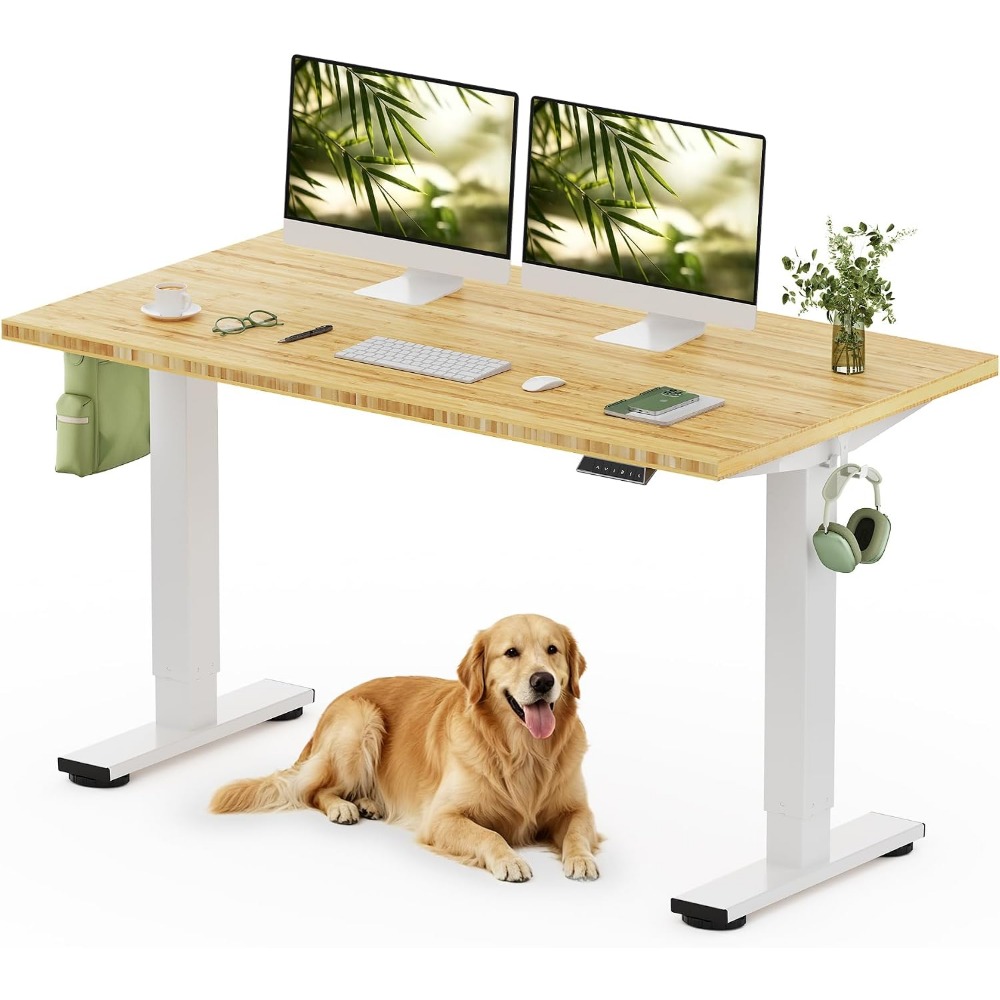 Desk Setup For Office - FLEXISPOT 55