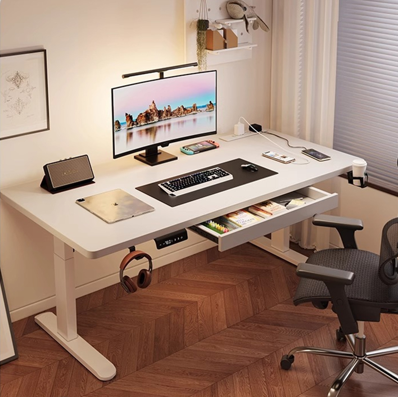 Modern Iron Dual Motor Electri - Dual Monitor Desk Setup review and price