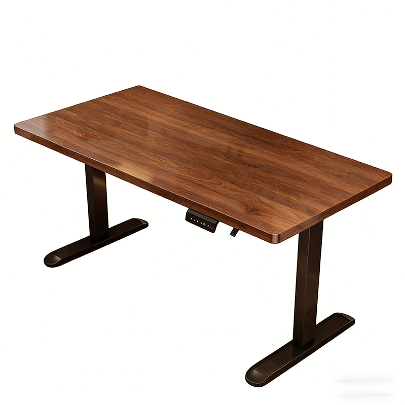 Modern Iron Dual Motor Electri - Dual Monitor Desk Setup review and price