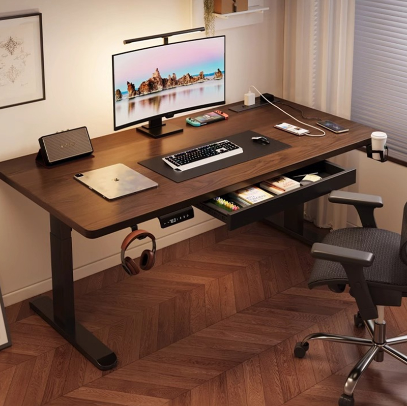Modern Iron Dual Motor Electri - Dual Monitor Desk Setup review and price